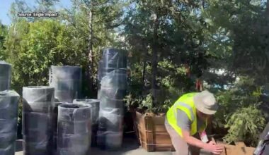 San Francisco Super Bowl preparations focus on sustainability | The Final Drive