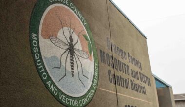 Increase in flea-born typhus reported in Fullerton | News