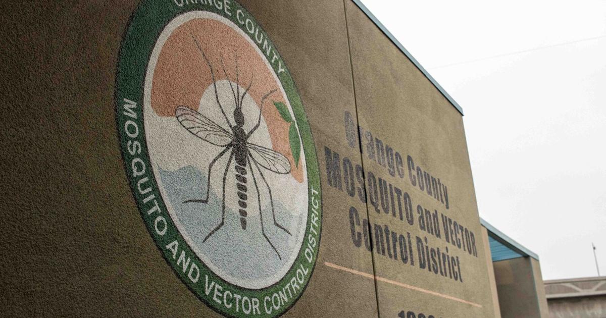 Increase in flea-born typhus reported in Fullerton | News