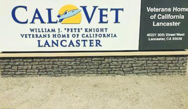 Cal State Long Beach, state officials to study vet suicides | News