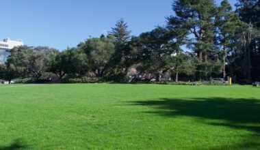 Where to touch grass around the Bay | Local Guides