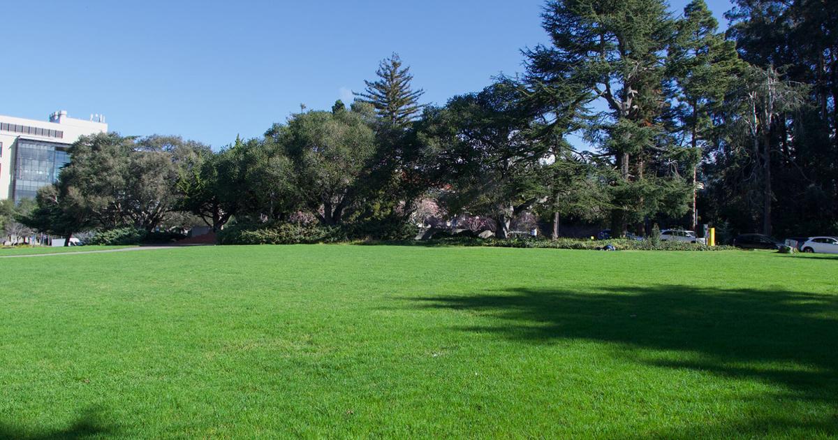 Where to touch grass around the Bay | Local Guides