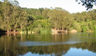 Missing 22-year-old UC Berkeley graduate student found dead | City