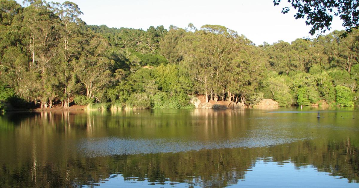 Missing 22-year-old UC Berkeley graduate student found dead | City