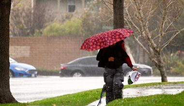 Winter storm wallops California with high winds, heavy rain, snow; downed tree closes southbound Hwy. 101 in Goleta | State and Regional