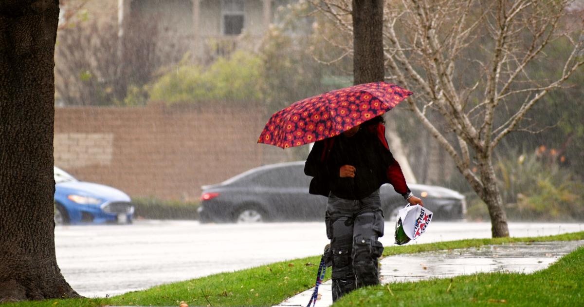 Winter storm wallops California with high winds, heavy rain, snow; downed tree closes southbound Hwy. 101 in Goleta | State and Regional