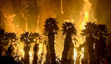 Palm Trees Burst Out In Flames In San Pasqual Valley, | STAR 94.1