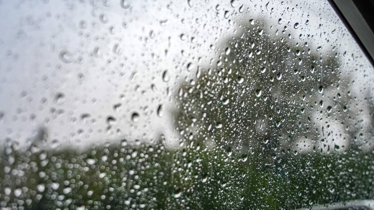 Rain Totals For San Diego County Are Adding Up | Newsradio 600 KOGO