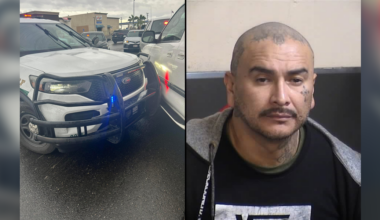 Fresno man arrested for 36th time after police pursuit | State