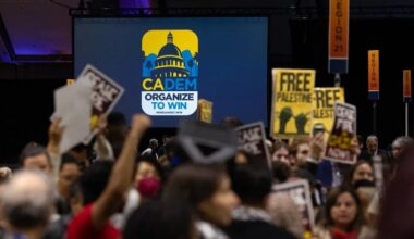 Furious with Trump, California Democrats plot election strategy in San Francisco | News