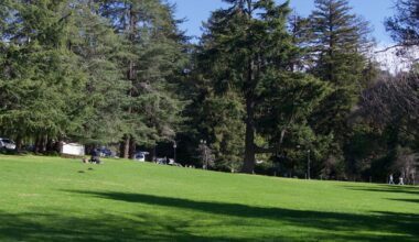 How to make this your best spring in Berkeley | How To