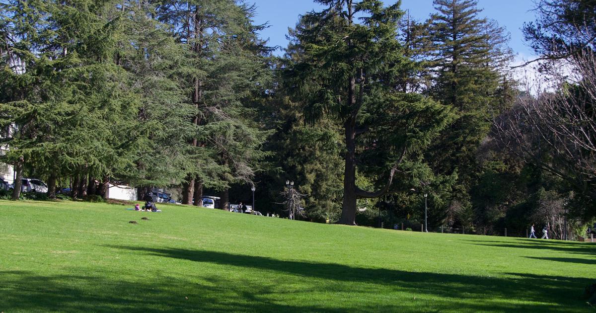 How to make this your best spring in Berkeley | How To