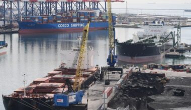 Supreme Court decision against Trump's tariffs raises uncertainty, but markets stay calm | Business