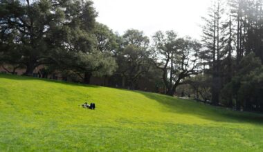 Places to go after class that aren’t your bed | Local Guides