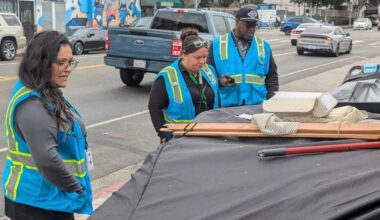 LA Council enshrines unarmed model of crisis response | News