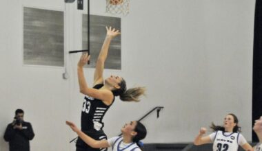 Falcons advance to D-6 Championship game with win over Sacramento Waldorf | Sports