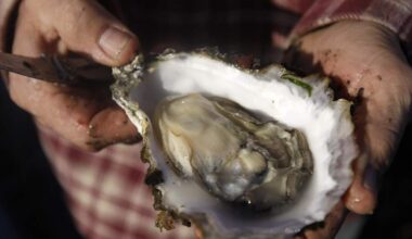 Drink beer and learn about wild oysters on Feb. 26