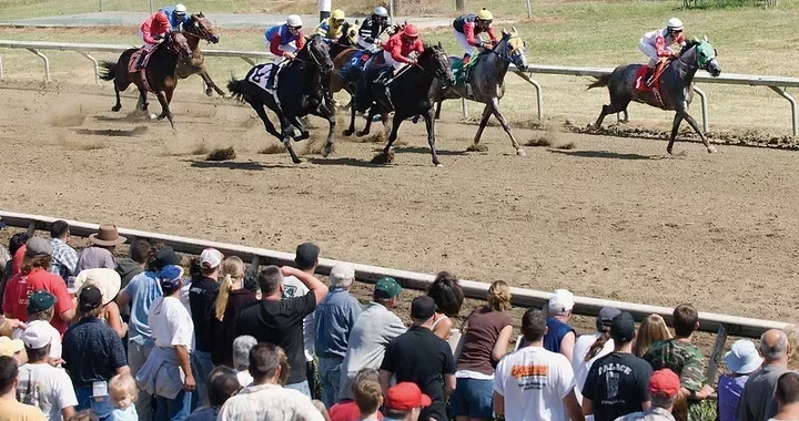 California Horse Racing Board Again Shoots Down Proposal for Humboldt County Fair Dates | Lost Coast Outpost