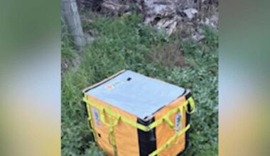 Lincoln family shocked after human feces found in Amazon delivery tote