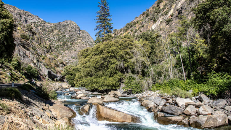 Mountain river flowing over rocks, surrounded by lush trees and rugged cliffs near Reedley