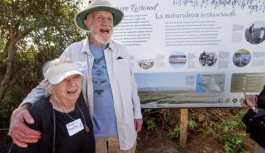 Yahoo lifestyle home