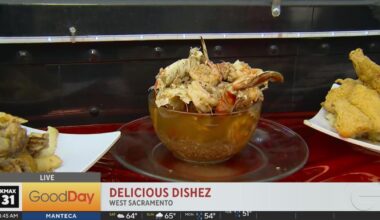 Delicious Dishez food truck delivers taste from the bay to Sacramento!