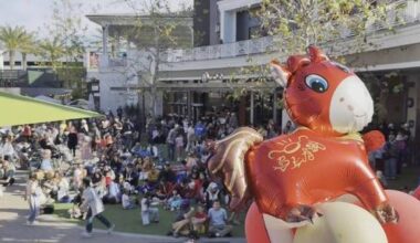 Major US port city hosts grand Chinese New Year celebration