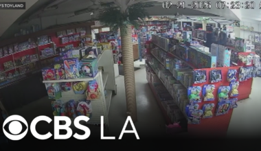 LA's oldest toy store targeted in early morning burglary