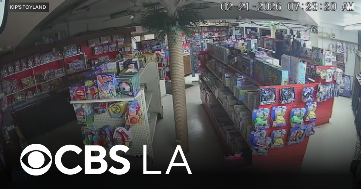 LA's oldest toy store targeted in early morning burglary
