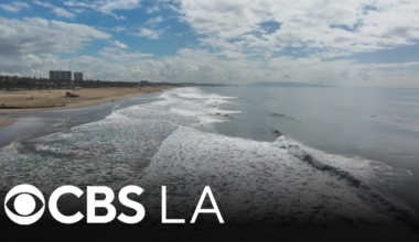 Heavy rains prompt water warning at LA County beaches