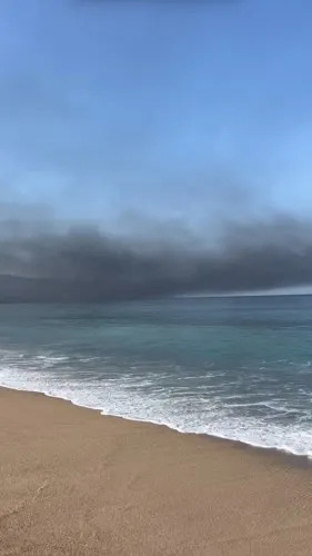 (IMAGE: Kitty Sinatro)