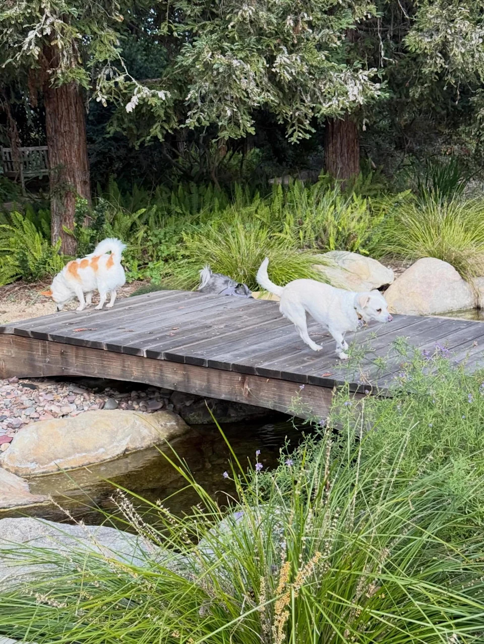 <span class="wp-caption-text">Ricki Lake/Instagram</span>