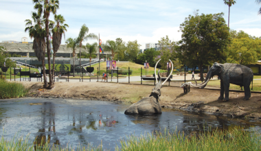 Los Angeles museums offer free admission on Feb. 22