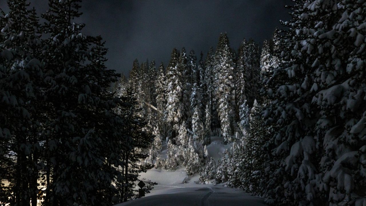 A snow-covered trail leading to Castle Peak, where eight backcountry skiers are confirmed dead from an avalanche, near Soda Springs, Calif., late Wednesday, Feb. 18, 2026. Many of the people on the fatal trek had ties to a ski-focused private school, Sugar Bowl Academy, in the Sierra Nevada. (Max Whittaker/The New York Times)