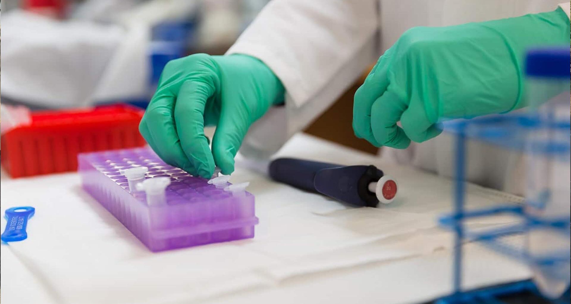 California DOJ Identifies Human Remains Found in Shasta County