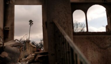 The Eaton Fire leaves devastation behind Friday, Jan. 17, 2025 in Altadena, Calif. (AP Photo/Jae C. Hong)
