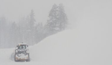 The 8 skiers dead and one still missing in a California avalanche paid $1,165 to be on the tour