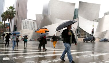 Will it rain today? See the weather forecast in Los Angeles – NBC Los Angeles