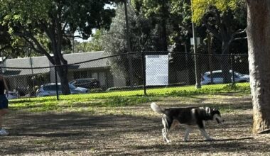 District 1 residents ask for a new dog park