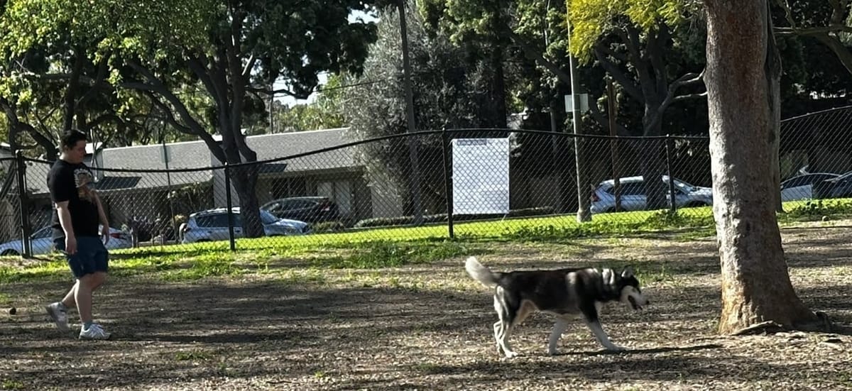 District 1 residents ask for a new dog park