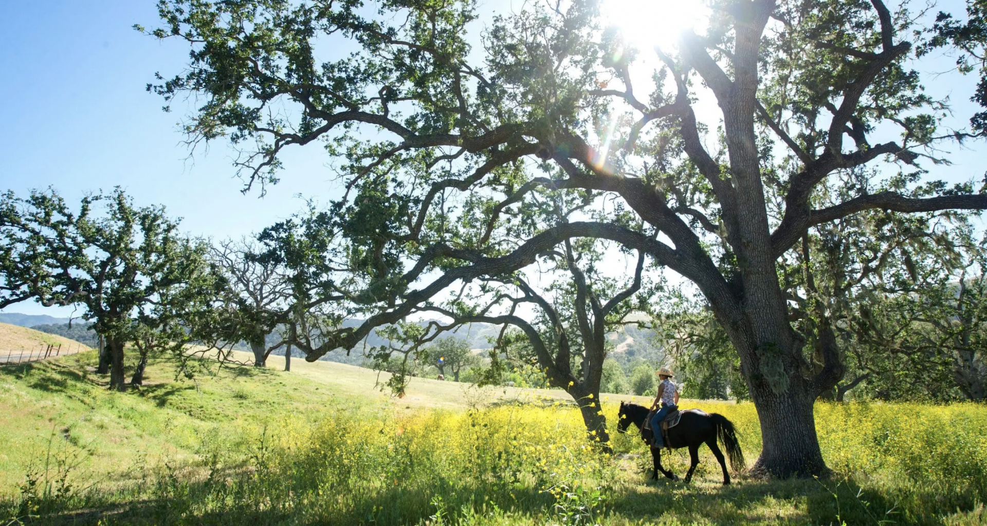 The Best Horseback Riding Destinations in California