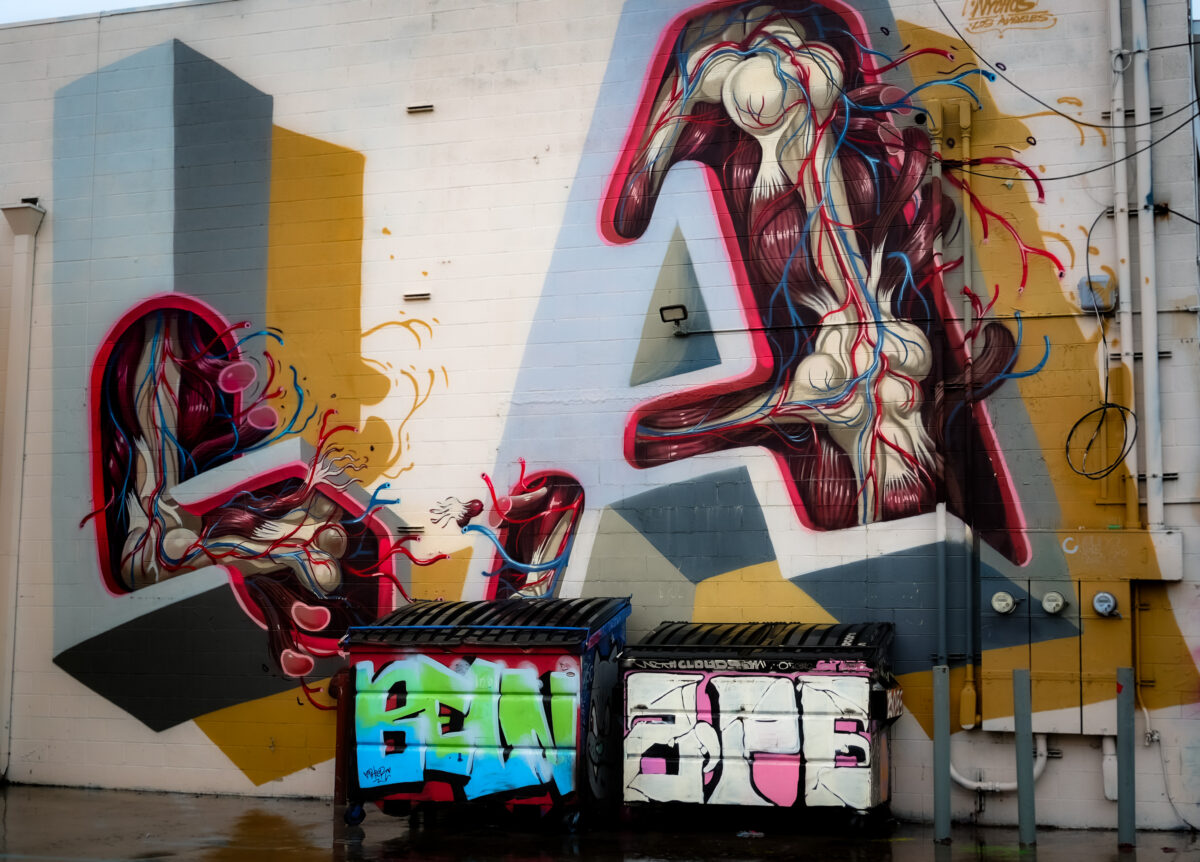 La Alley Way Mural by Nychos