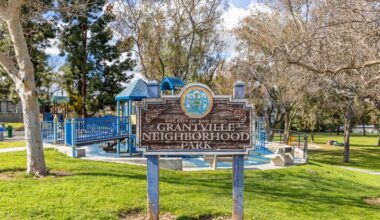 Civic engagement isn’t a luxury, it's the lifeblood of community