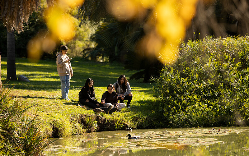 People enjoy arboretum lake