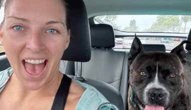 Long Beach shelter’s longest-stay dog is finally home forever