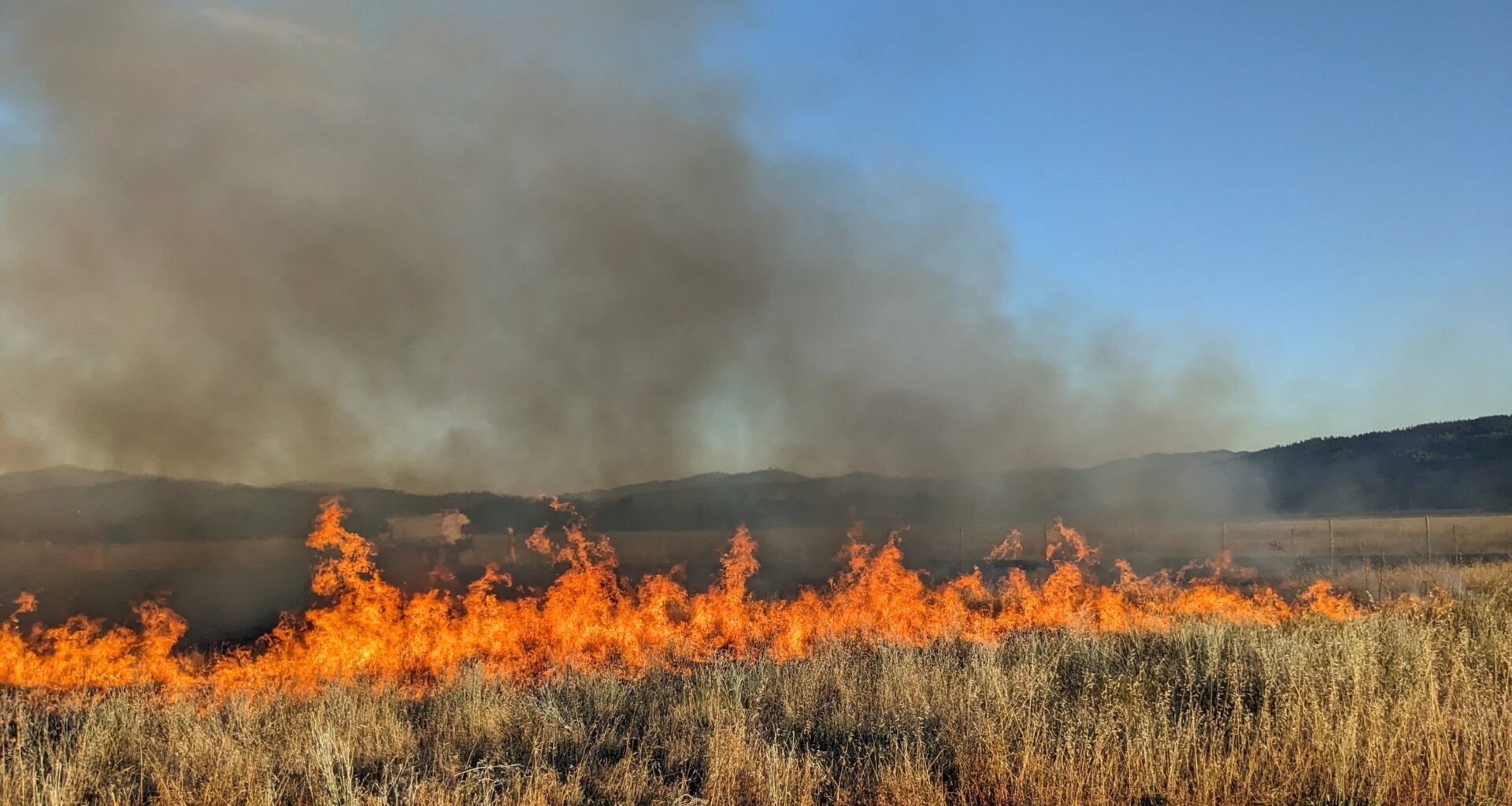 Bipartisan bill introduced to make prescribed burning easier across California • The Mendocino Voice