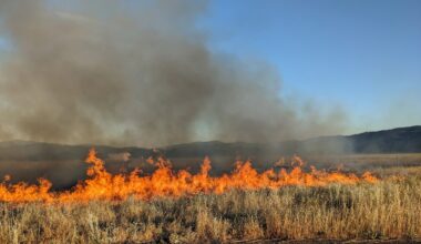 Bipartisan bill introduced to make prescribed burning easier across California • The Mendocino Voice