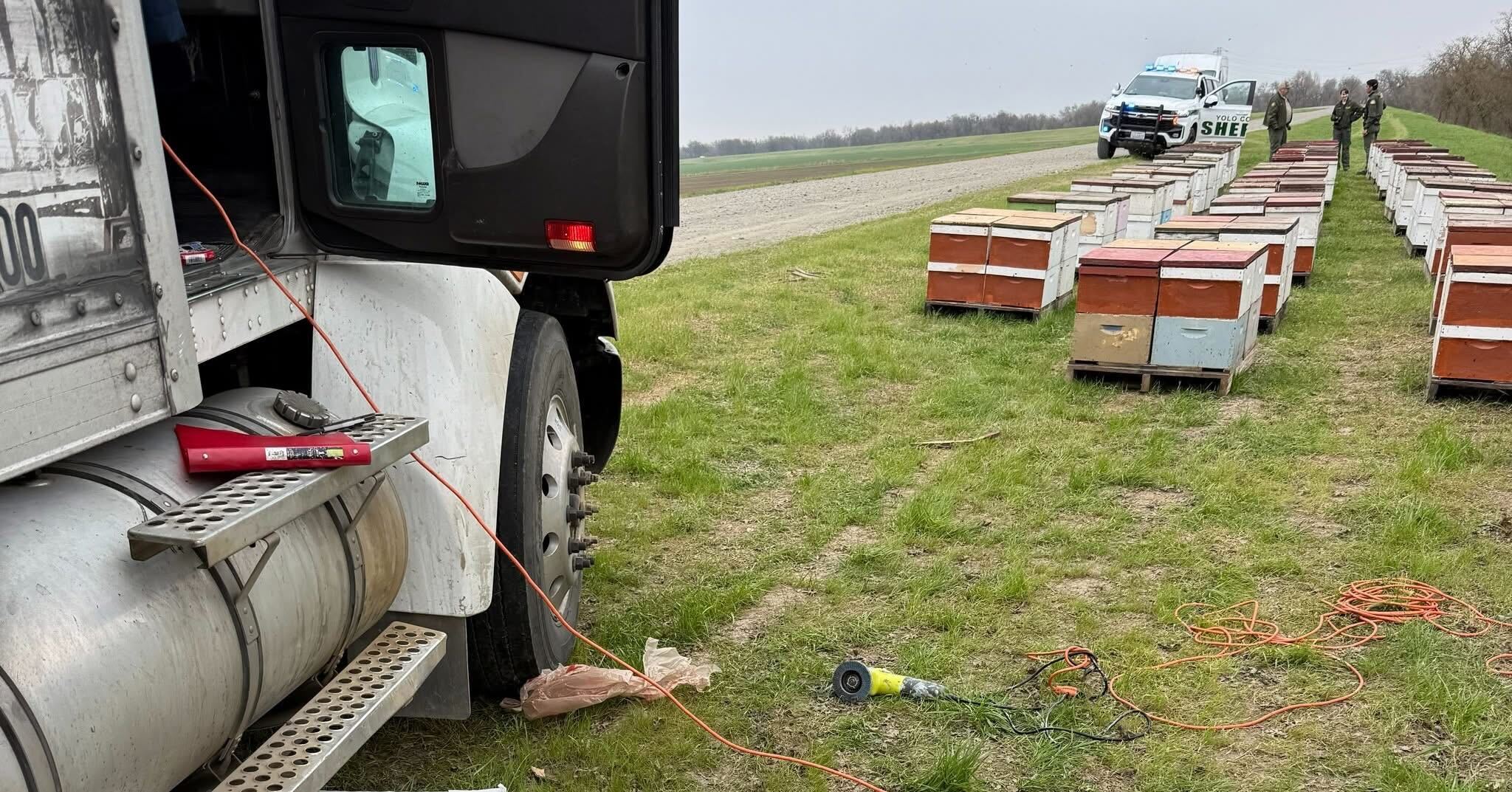 Agricultural investigators located the live hives and discovered they had...