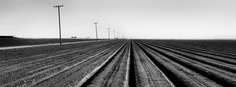 A vast, barren field stretches to the horizon under a clear sky. Parallel furrows run symmetrically with power lines on the left, evoking solitude and endlessness.