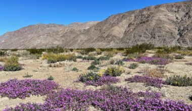 California State Parks Foundation Seeks Nominations for Best Parks Poll